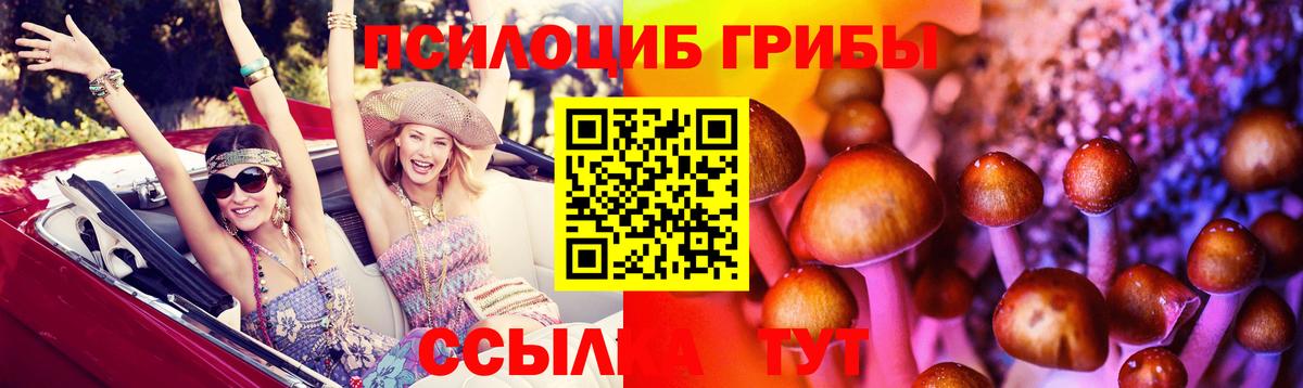 Псилоцибиновые грибы мицелий Егорьевск