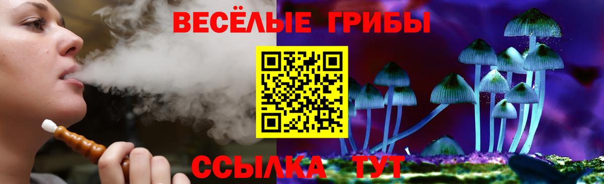Егорьевск  Галлюциногенные грибы Magic Shrooms  Галлюциногенные грибы ЛСД  Вход с VPN 